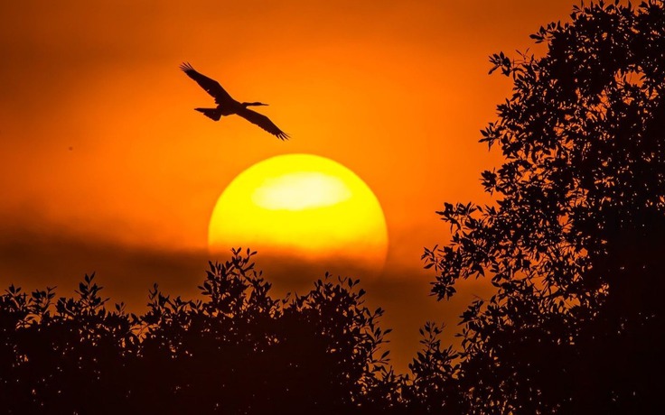 Cảnh báo bão mặt trời liên tục tấn công: Hôm nay 22.1, Việt Nam có bị ảnh hưởng?