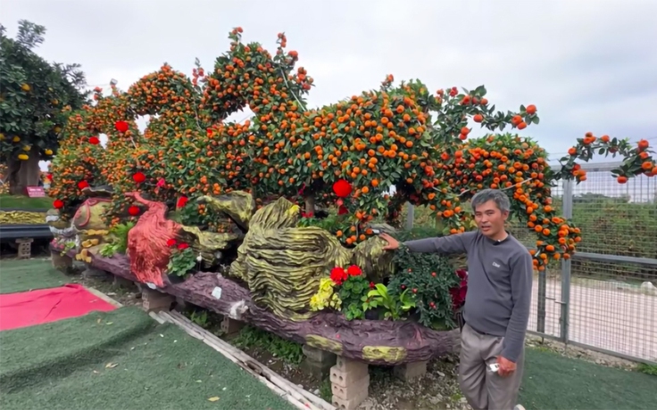 Săn kiểng độc, quả lạ chơi tết