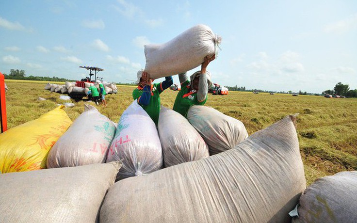 Việt Nam nhập kho dự trữ kỷ lục 500.000 tấn lương thực