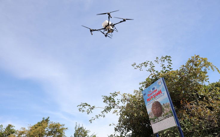 Cùng OMO mang ‘lộc xanh’ đến Vườn quốc gia Núi Chúa - Phước Bình