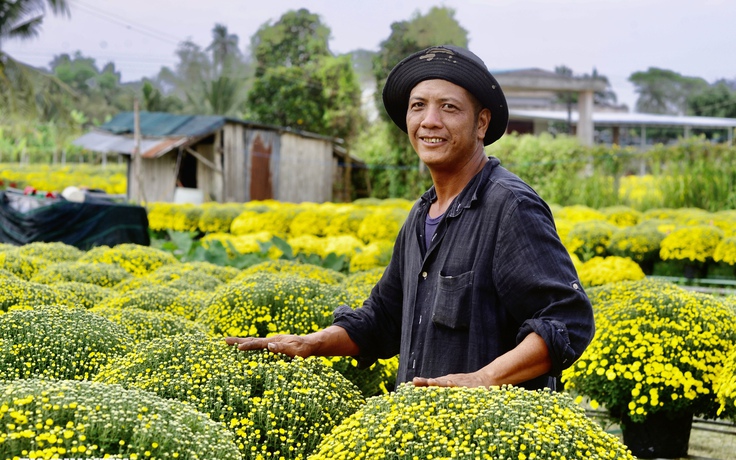 'Trúng mánh' vì hoa tết đúng vụ ở Chợ Lách: Giá sốc nghe mà thương