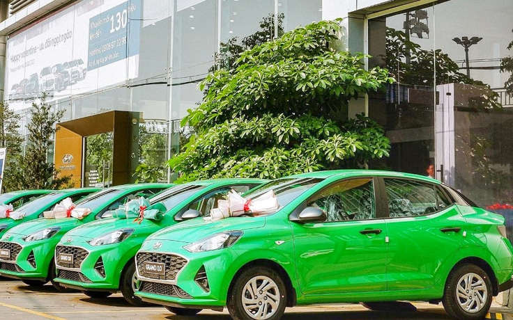 
Chủ tịch Tập đoàn Mai Linh thuộc diện sẽ bị tạm hoãn xuất cảnh