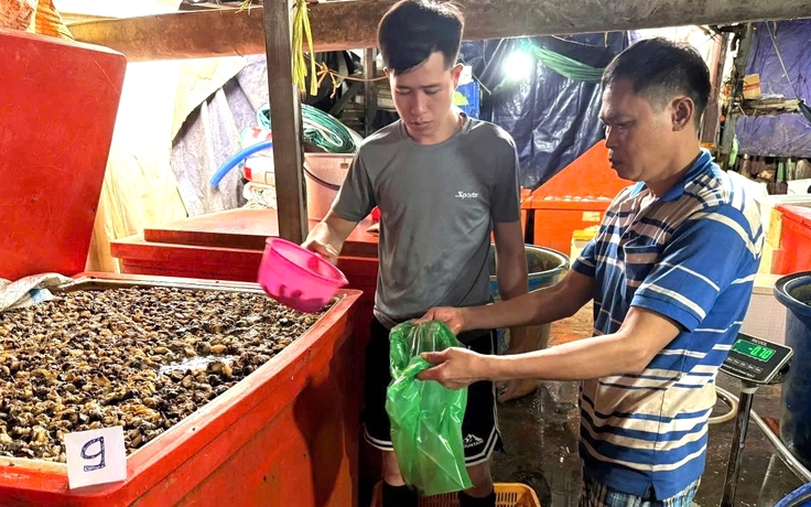 Ngâm ốc bươu bằng thủy tinh lỏng: Độc cỡ nào?