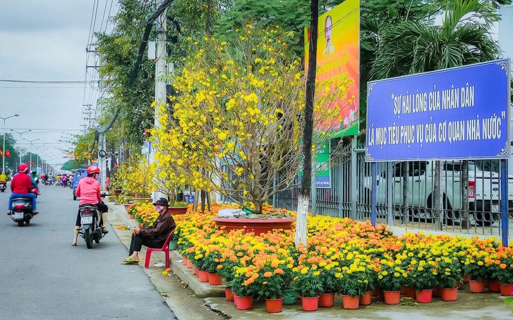 Tết Nguyên đán 2026: Khánh Hòa cho phép bán hoa tết trên vỉa hè