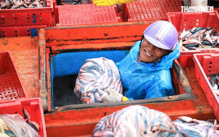Ngư dân Quảng Ngãi rộn ràng phiên biển cuối năm: 'Mệt mấy cũng vui'