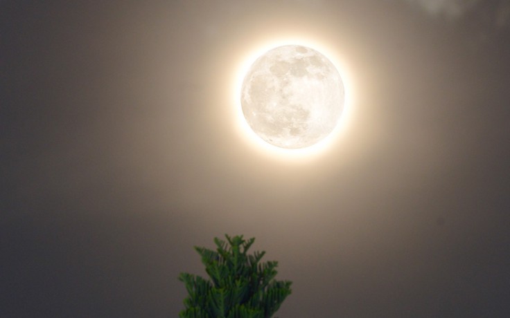 Siêu trăng sói vừa xuất hiện cực hiếm trong 113 năm: 2026 có tới 8 siêu trăng!