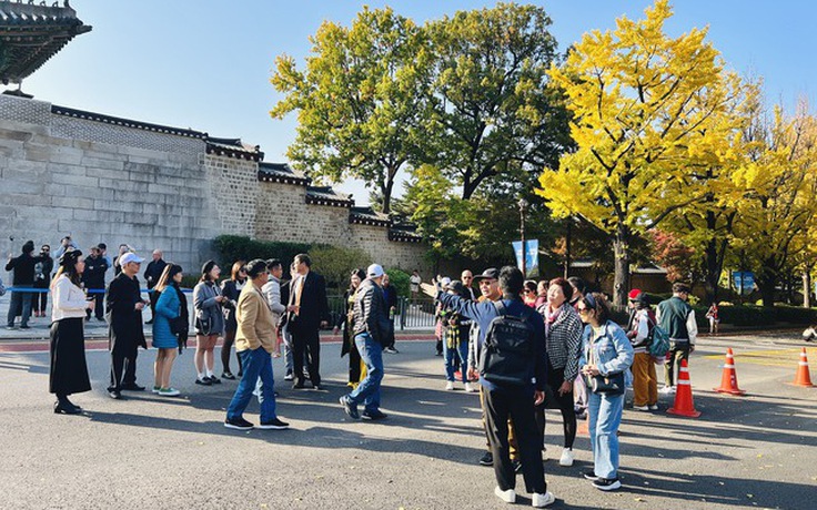 Doanh nghiệp du lịch để khách trốn lại trái phép có thể bị phạt tới 50 triệu