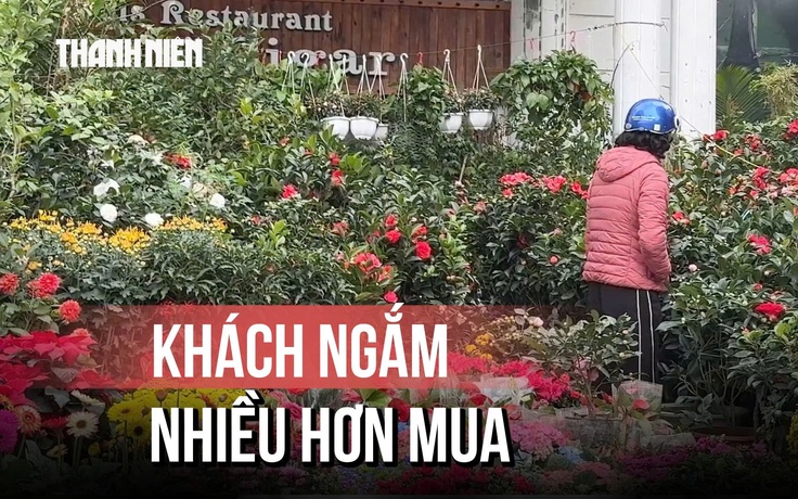 Hà Nội: Chợ Bưởi cận tết ‘kém nhiệt’, khách ngắm hoa nhiều hơn mua