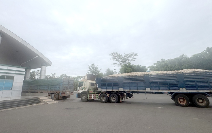 Thực phẩm, nông sản nhập khẩu vẫn 'tắc' thông quan