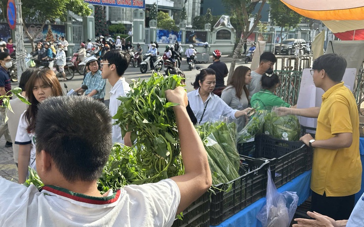 Rau sạch 'cháy hàng' giữa TP.HCM, từ vườn quê lên bàn ăn cuối tuần