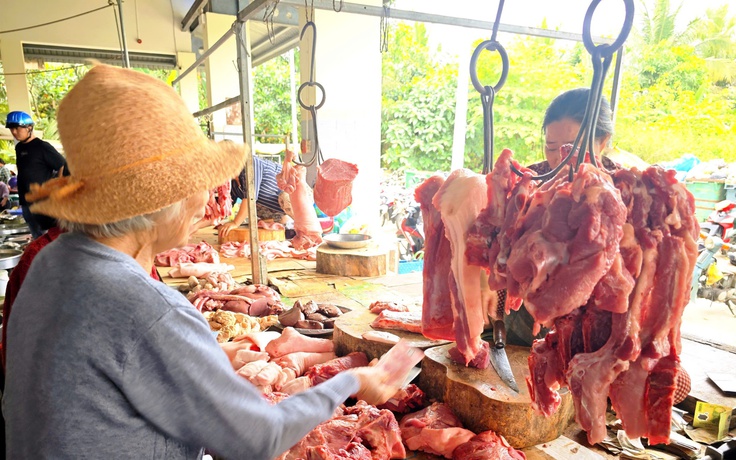 Giá heo hơi hôm nay 6.2026: Xoay chiều tăng