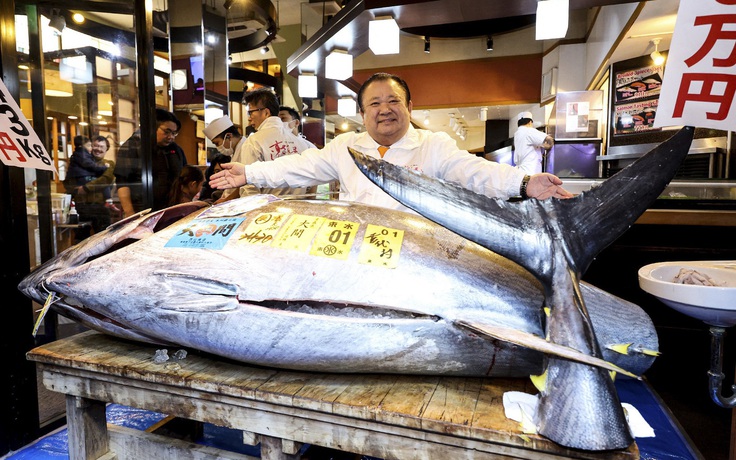 Một con cá ngừ được giá hơn 85 tỉ đồng