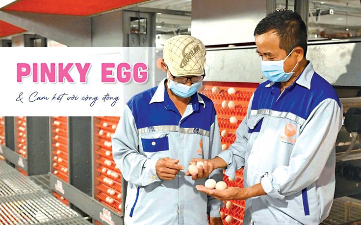 Mebi Group - Hành trình từ chuẩn mực đến hệ sinh thái nông nghiệp bền vững