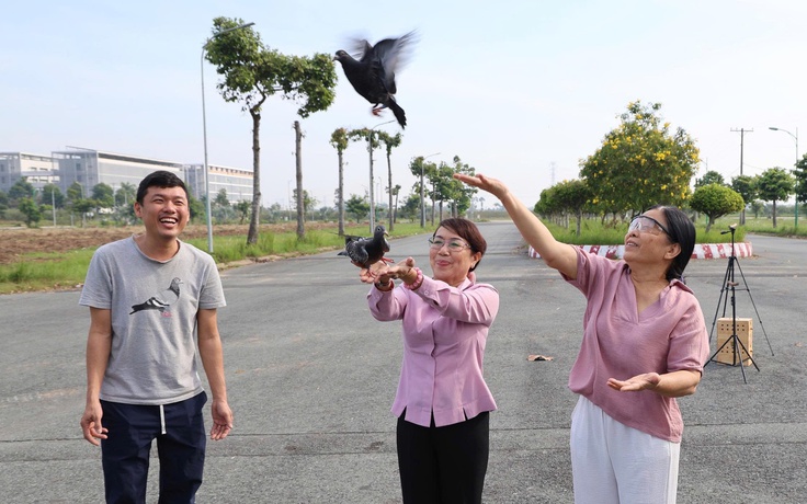 Vì sao bồ câu có thể đưa thư: Bí mật của 'vận động viên marathon bầu trời'