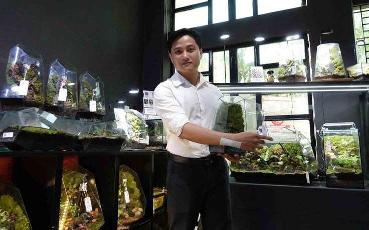 Bác sĩ đưa 'rừng nhiệt đới' vào lồng kính, xây dựng chuỗi terrarium lớn nhất Cần Thơ