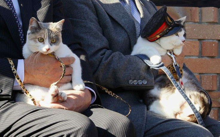 Mèo được bổ nhiệm làm trưởng ga tàu tại Nhật Bản