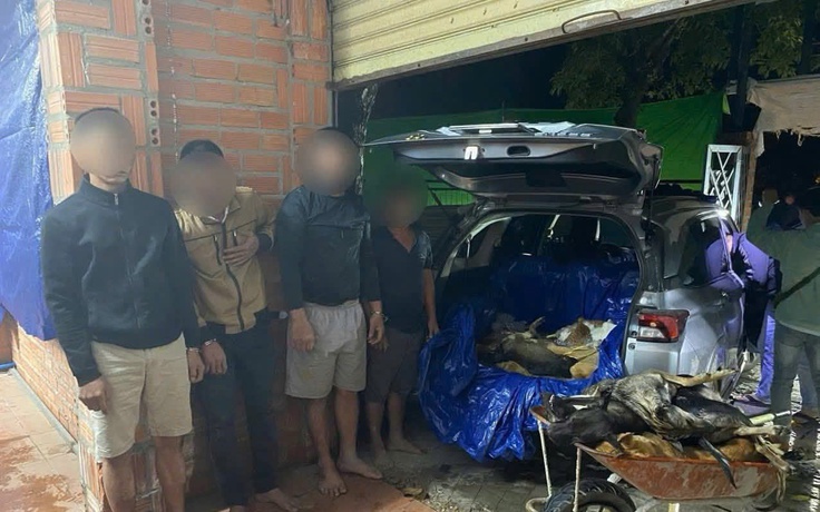 Triệt phá đường dây trộm chó quy mô lớn, thu giữ hơn 1,5 tấn tang vật