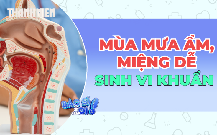 Mùa mưa ẩm: Thời điểm vi khuẩn, nấm trong miệng dễ 'bùng phát'
