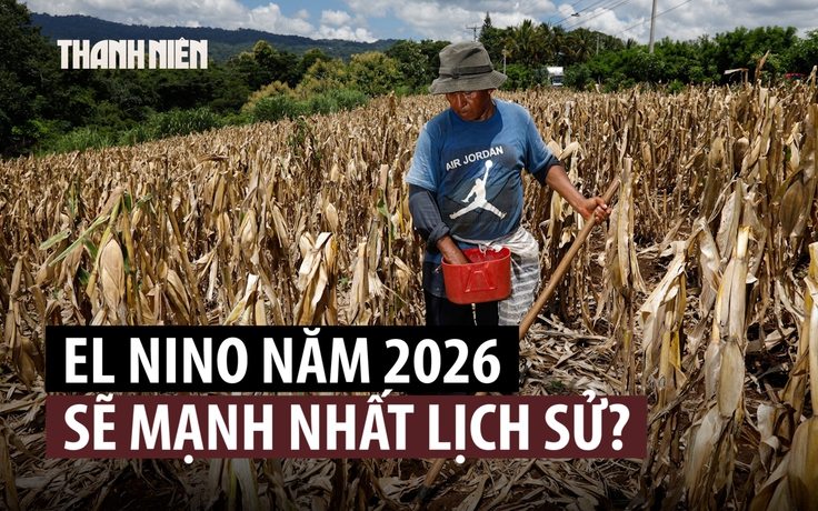 El Nino ngày càng nghiêm trọng, nhiệt độ Thái Bình Dương lập kỷ lục