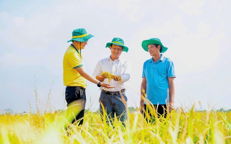 Phân bón Cà Mau viết tiếp câu chuyện phát triển Phân bón Cà Mau viết tiếp câu chuyện phát triển