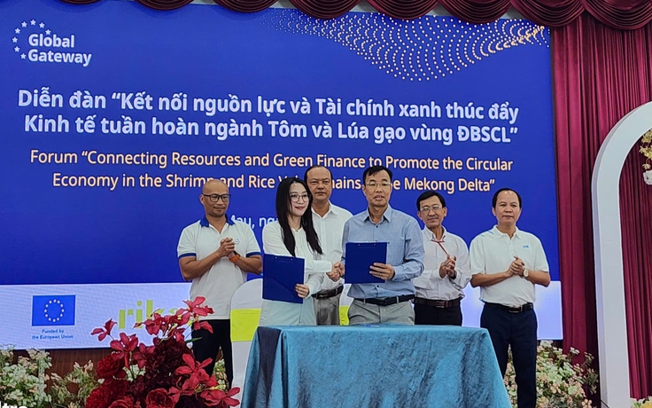 Cà Mau gỡ 'nút thắt' vốn xanh thúc đẩy kinh tế tuần hoàn tôm, lúa gạo