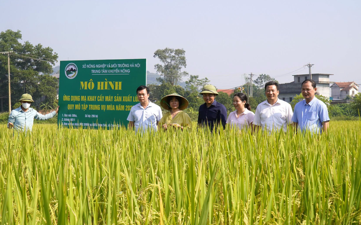 Gỡ ‘nút thắt’ để phát triển nông nghiệp công nghệ cao