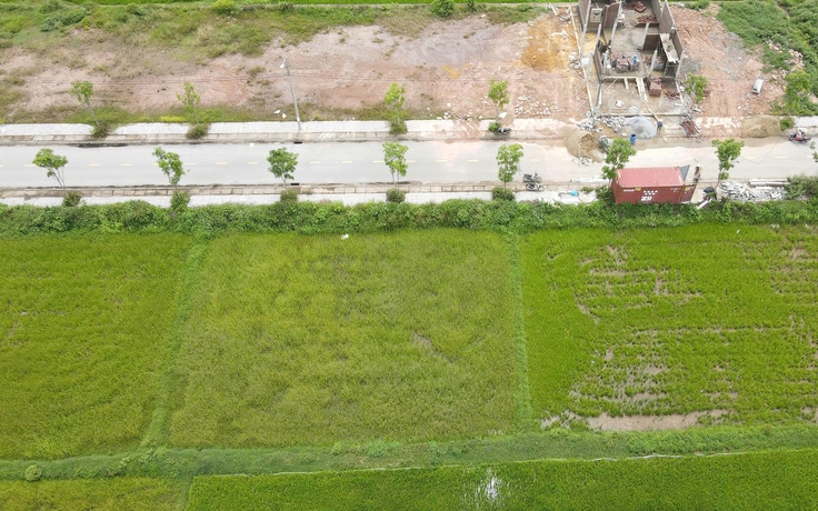 Hà Tĩnh: Đấu giá đất ế ẩm, giá khởi điểm giảm tới 2,4 tỉ đồng/lô