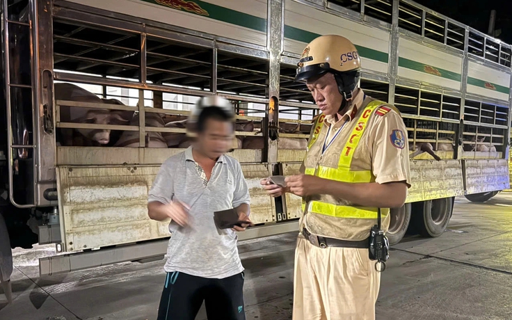 Sau vụ thịt heo chứa chất cấm, TP.HCM kiểm soát nguồn thịt vào chợ ra sao?