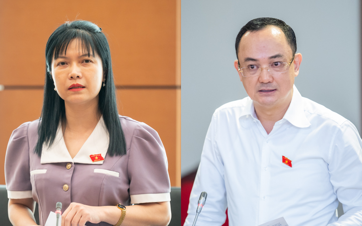 Đại biểu Quốc hội đề nghị chế tài mạnh 'giữ đất chờ tăng giá'