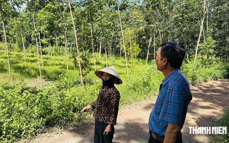 Vụ cấp nhầm sổ đỏ ở TP.HCM: Luật sư nói gì?