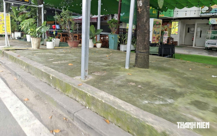 Nhiều gốc cây bị trám kín xi măng