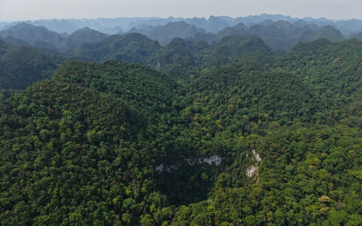 Phát hiện hố sụt lớn, sâu 120 m ở rừng Phong Nha - Kẻ Bàng