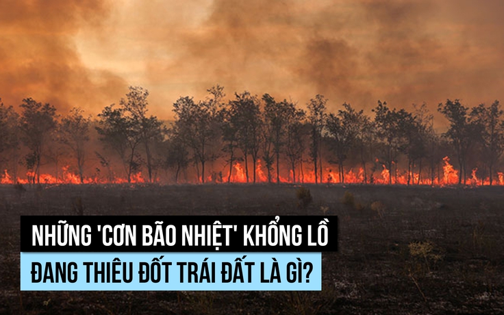 Nhiều 'cơn bão nhiệt' khổng lồ đang thiêu đốt trái đất, vì sao?