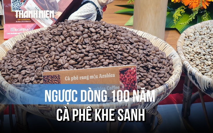 Ngược dòng 100 năm cà phê Khe Sanh, thưởng thức hương vị giữa miền đất Quảng Trị
