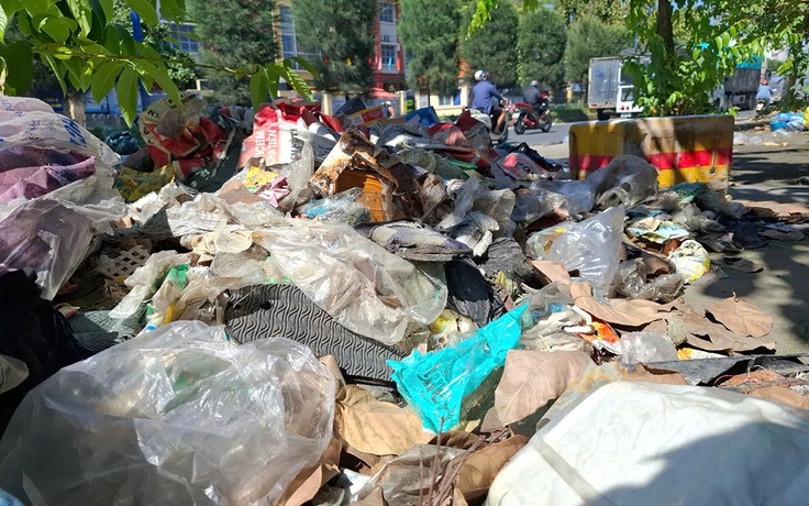 Rác chất đống bên đường