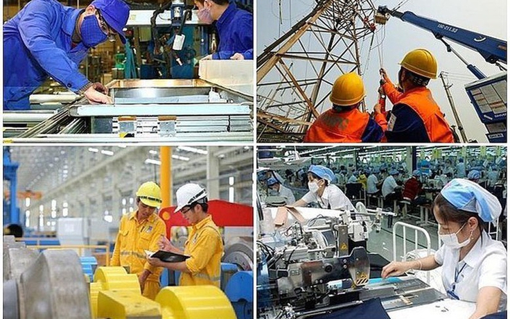 Nhà nước tiếp tục giữ 100% vốn tại các Tập đoàn EVN, PVN, TKV, VEC...