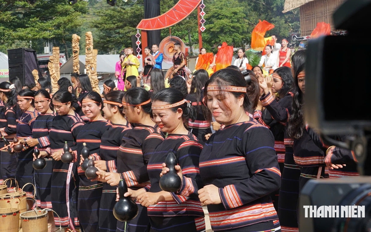 Khai hội Tuần lễ hoa dã quỳ Chư Đăng Ya, ban tổ chức nhắc không hái hoa