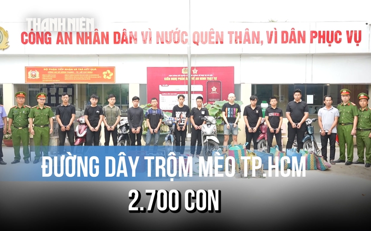 Bắt giam 'ông trùm' đường dây trộm mèo ở TP.HCM