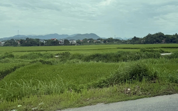 Sẽ quy định rõ tiêu chí 'đất bỏ hoang' để làm căn cứ đánh thuế cao