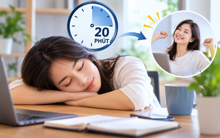 Có nên ngủ trưa mỗi ngày? Câu trả lời từ chuyên gia