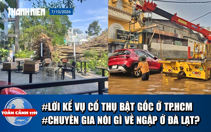 Toàn cảnh 17h: Lời kể lúc tháo chạy khi cây 20m đổ sập ở TP.HCM | Vì sao Đà Lạt mưa lớn ngập nhanh, rút nhanh?
