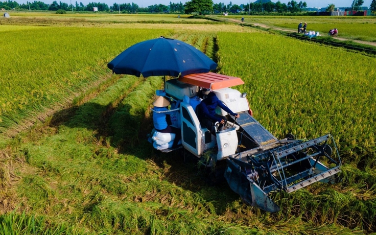 Hà Nội lập kế hoạch phát triển kinh tế tập thể, hợp tác xã năm 2027