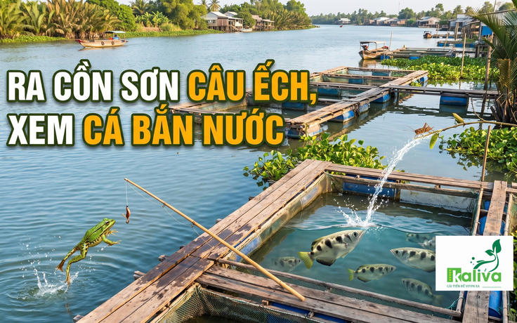 Cùng sống xanh số 169: Tạo nhiều trò chơi trên bè nuôi cá để giữ ký ức với ông bà