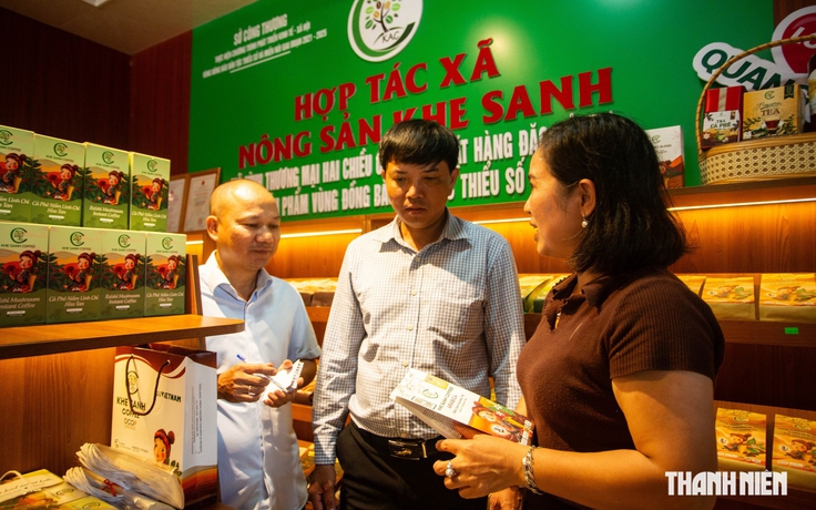 100 năm cà phê Khe Sanh: Loại hạt làm đổi thay vùng đất