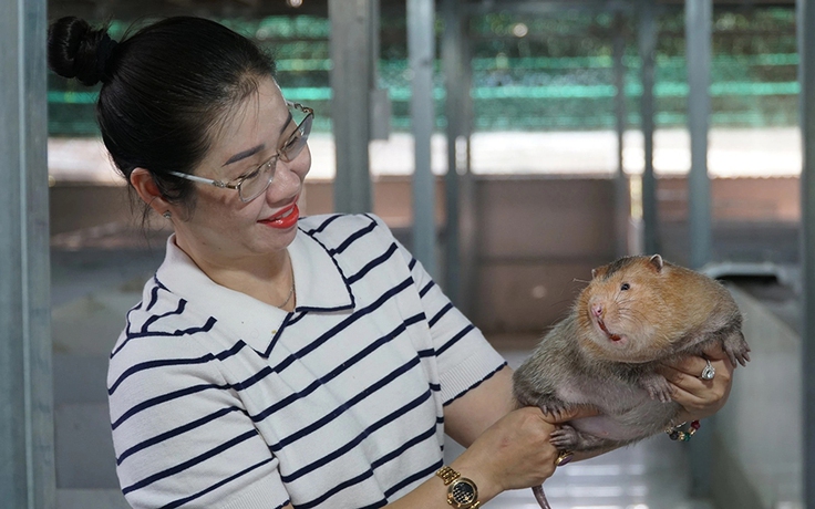 Thành công từ nuôi con dúi má đào, bán 12 triệu đồng/cặp