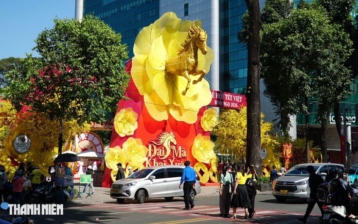 Đường mai - phố ông đồ ở TP.HCM rực rỡ trước giờ mở cửa chính thức