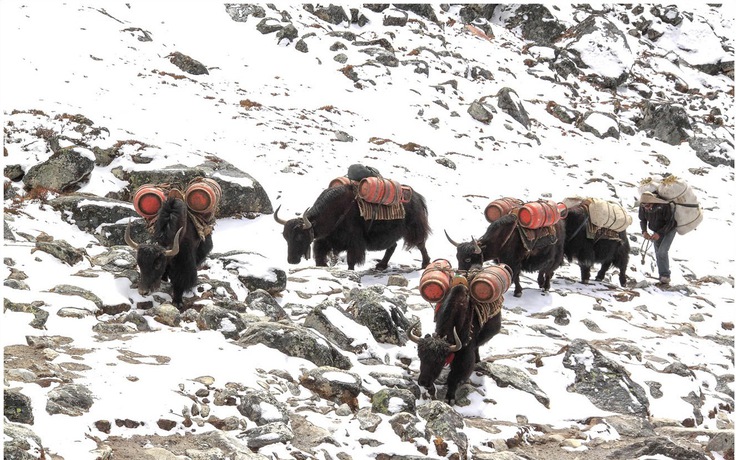 Không check-in, không nghỉ dưỡng: Vì sao nhiều người Việt chi trăm triệu tìm đến Himalaya?