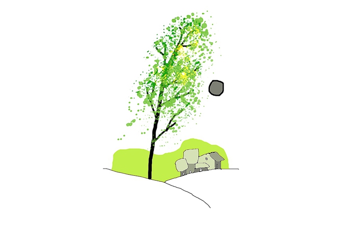 Nhớ Mimosa - Thơ của Vũ Trọng Quang