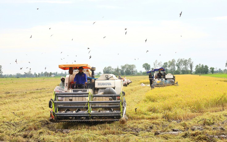 Cần Thơ thông qua chính sách hỗ trợ khôi phục sản xuất nông nghiệp sau thiên tai