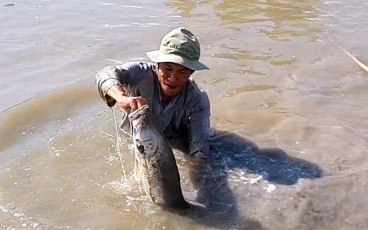 Vuông tôm Cà Mau có 'cá lạ': Nông dân 'vô mánh' cận tết, thu tiền triệu